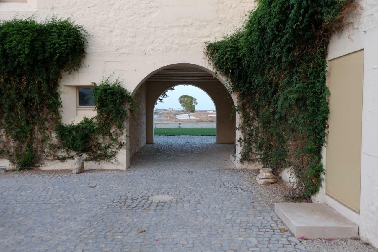 Flattered To Be In Algarve