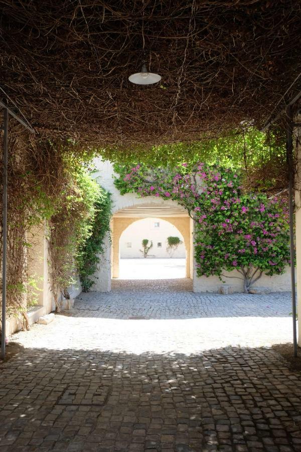 Flattered To Be In Algarve Apartment